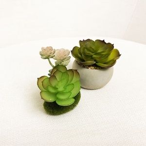 Mini Decoration Faux Succulent Arrangements Set of 2